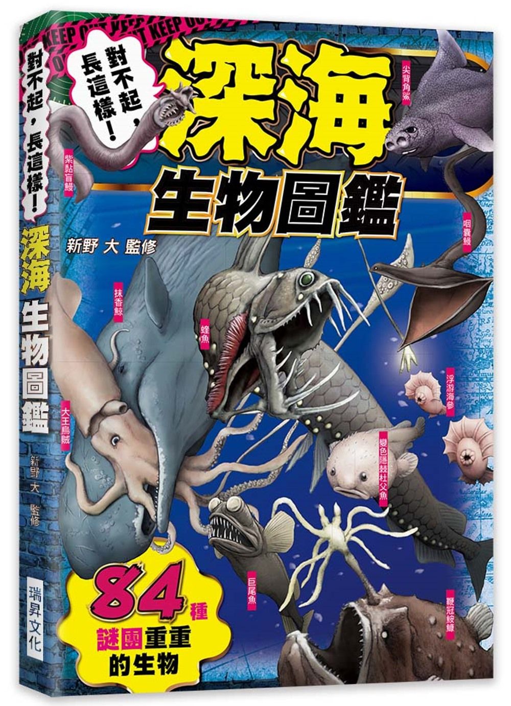 對不起，長這樣！深海生物圖鑑：84種謎團重重的生物