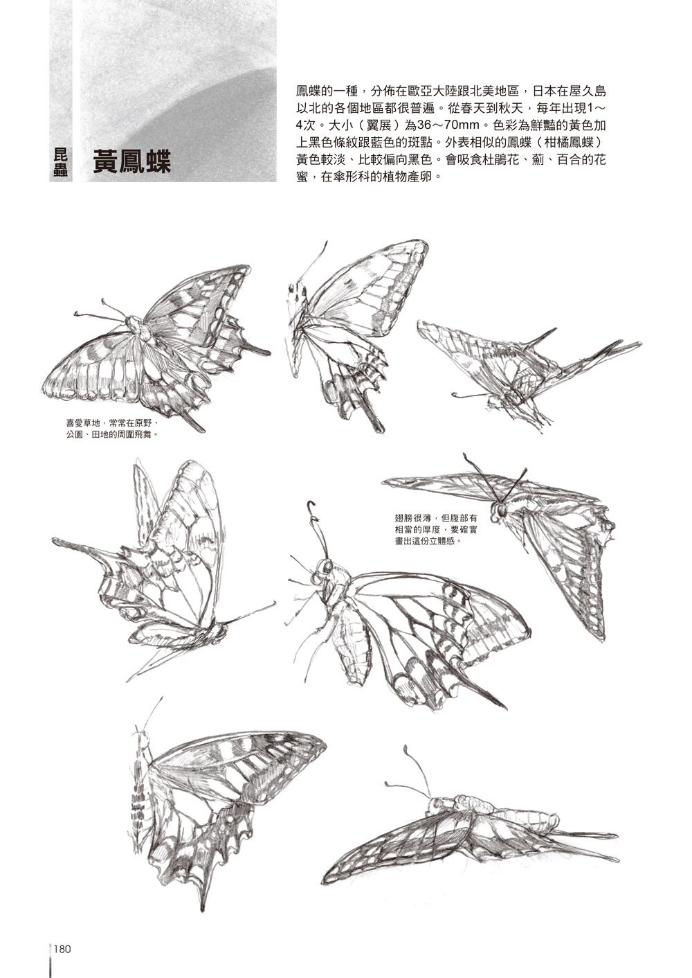 0010687161_b_07.jpg
