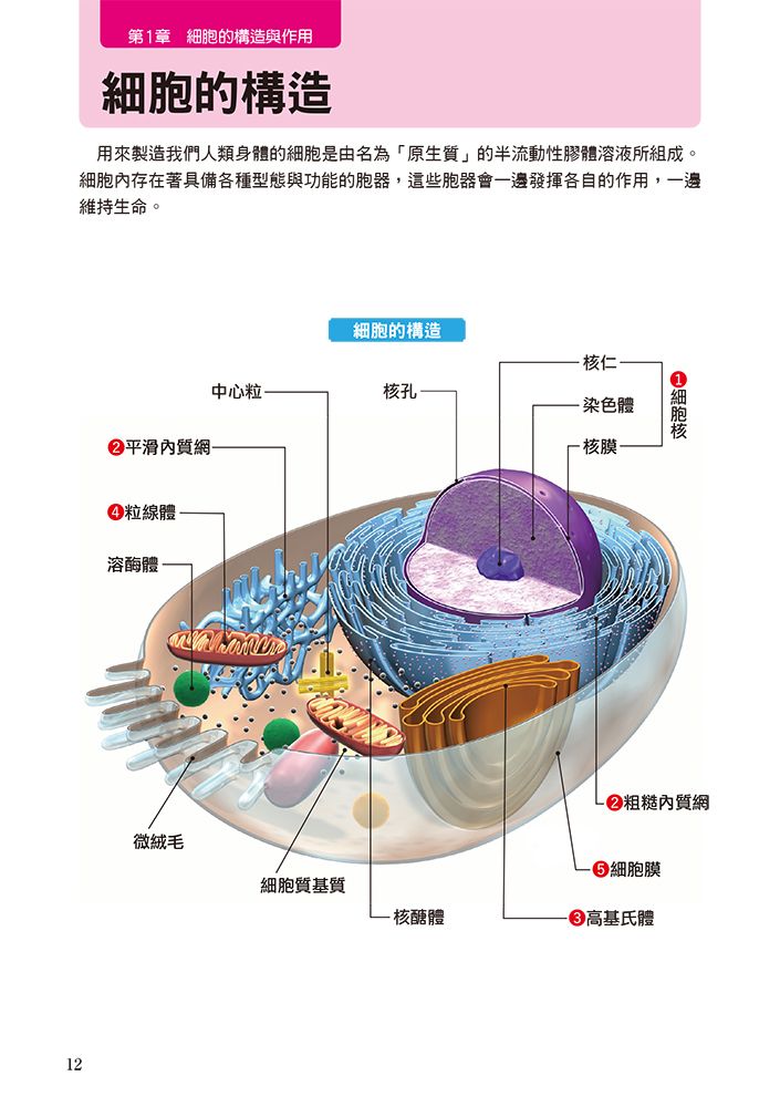 0010764675_b_01.jpg