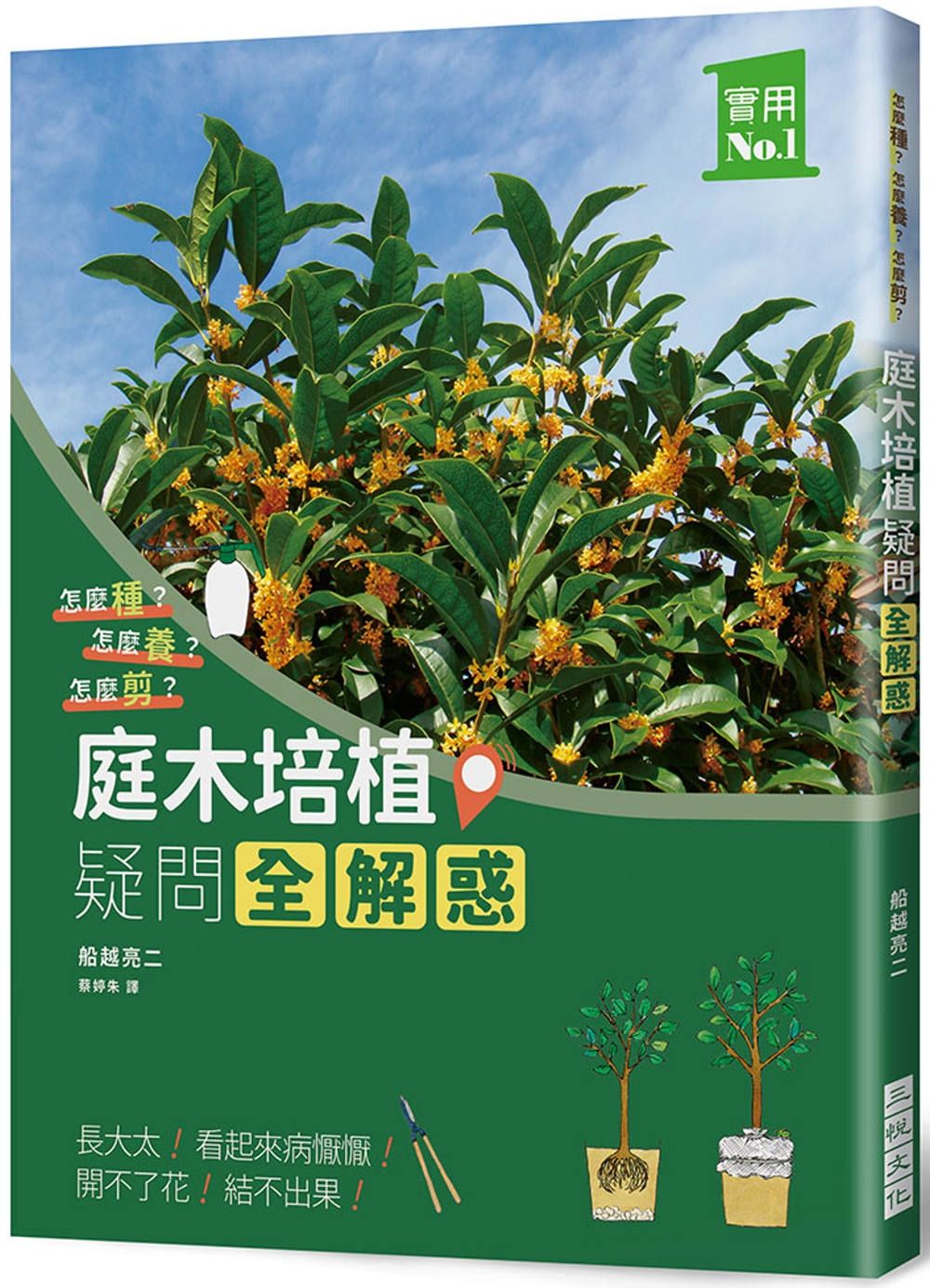 庭木培植疑問全解惑：怎麼種？怎麼養？怎麼剪？