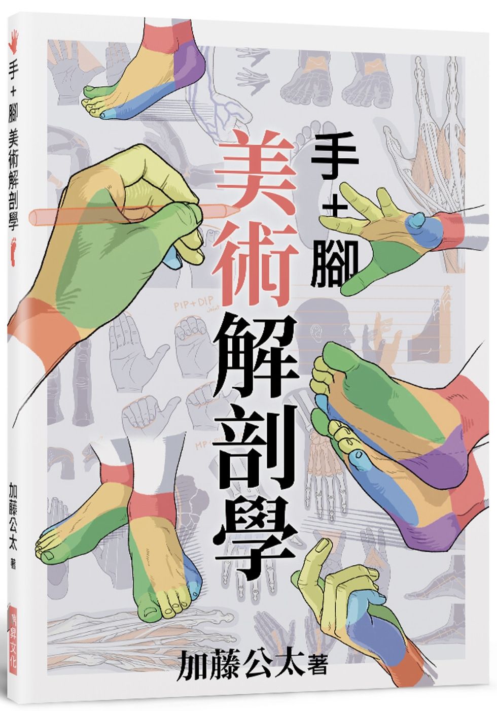 手+腳 美術解剖學