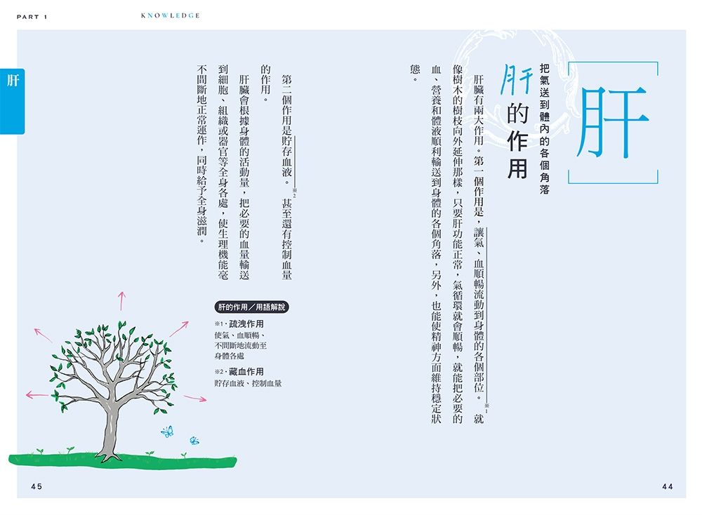 0010979891_b_05.jpg