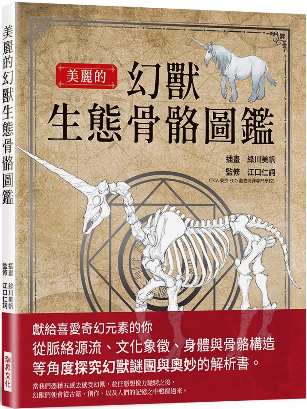 美麗的幻獸生態骨骼圖鑑